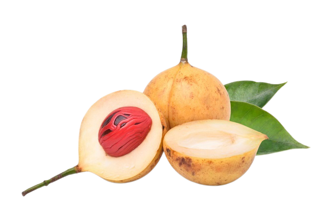 Logo Kabar Aceh Selatan